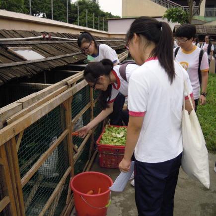 Visit of enterprise_Dongsheng Agricultural Group 2