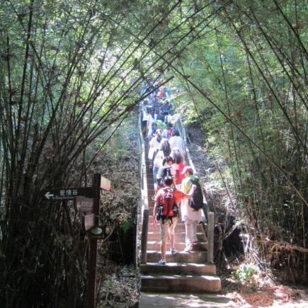 Students were learning at Wolong Gang