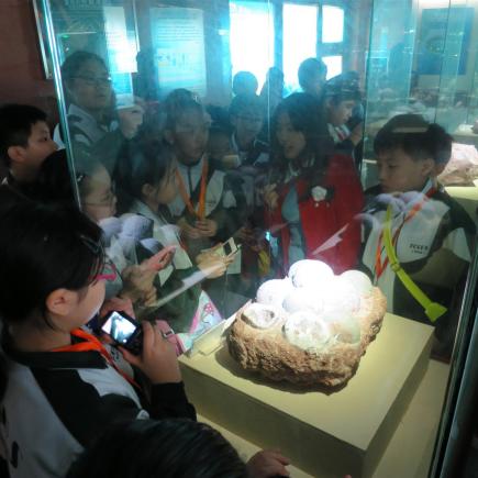 透过参访河源恐龙博物馆，让学生了解水源变迁对地球生物演化的影响。