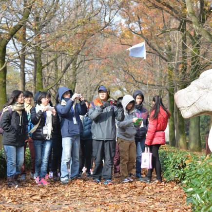 走進明孝陵神道，欣賞明代的石刻藝術