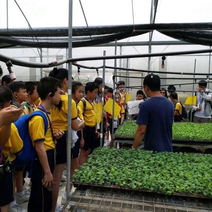 Students were visiting a hydroponic farming enterprise in Zhongshan