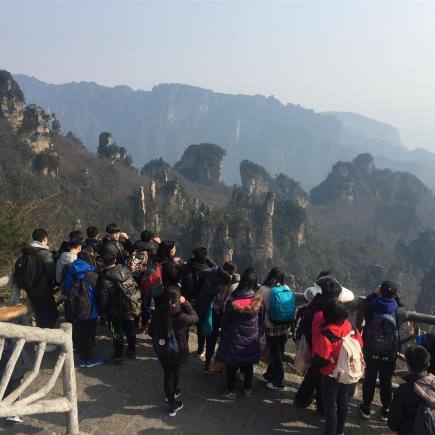 学生正在考察袁家界自然风景区。