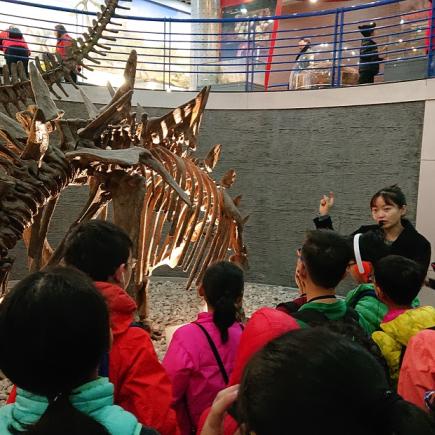 学生参访北京自然博物馆，观察古生物的模型及认识其特征。