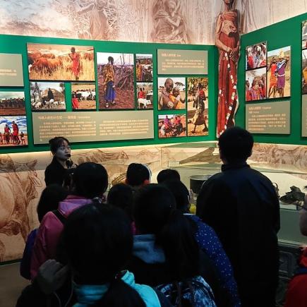 学生参访北京自然博物馆，了解人类的发展史。
