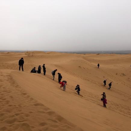 学生参访沙坡头景区