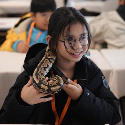學生於紫金山昆蟲博物館近距離認識兩爬動物生活習性，學習愛護及保育大自然。