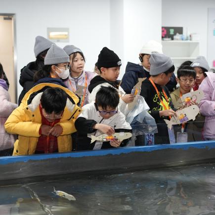 學生於長江江豚科教中心製作仿生魚及編程，認識長江江豚習性。