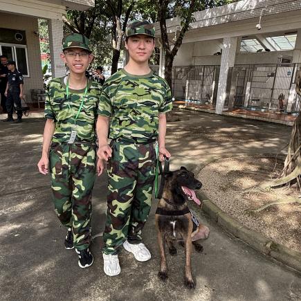 Refer to Chinese Version