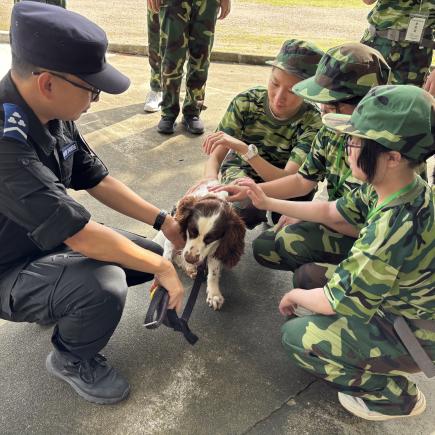 Refer to Chinese Version