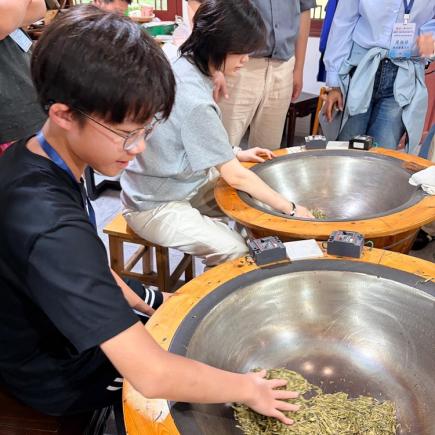 学生于梅家坞村（龙井茶园）体验炒茶工艺