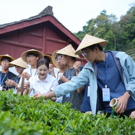 学生于梅家坞村（龙井茶园），穿着茶农服饰，体验采茶