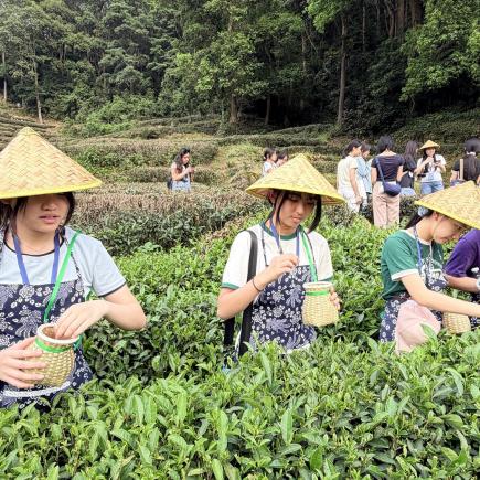 学生于梅家坞村（龙井茶园），穿着茶农服饰，体验采茶