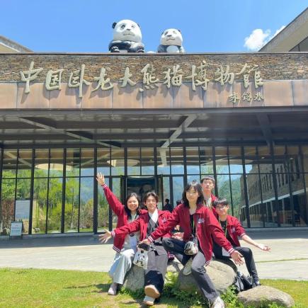 學生在臥龍大熊貓基地合照留念。