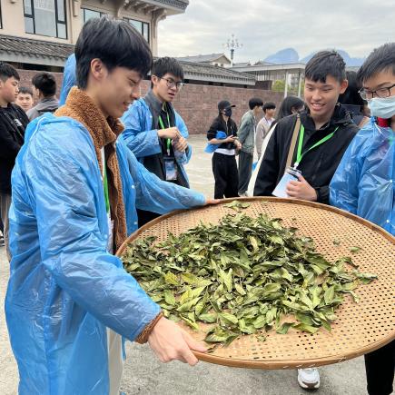 学生于武夷山国家公园体验茶叶制作技艺。