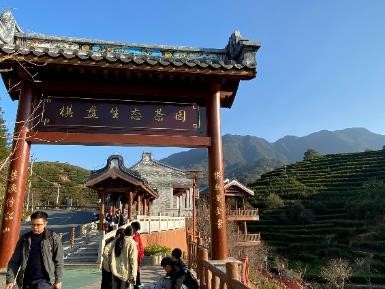 鳳凰鎮茶園 (鳳凰山棋盤生態茶園)