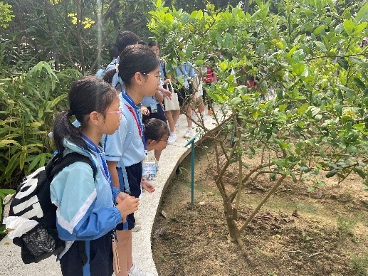 百香園