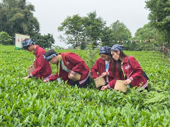 一所茶園企業