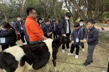 粵港澳大灣區城市探索之旅