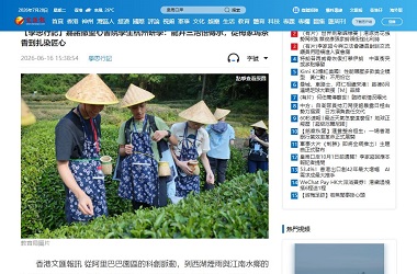 夢成真 - 初中組獲獎團